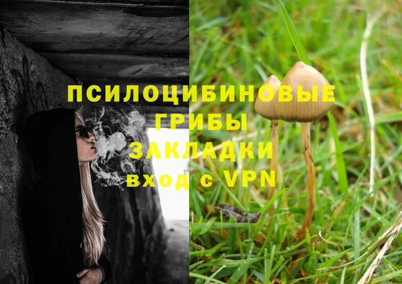 цена   мега ONION  Галлюциногенные грибы MAGIC MUSHROOMS  Гурьевск 